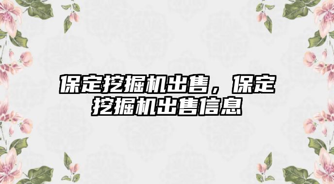 保定挖掘機(jī)出售，保定挖掘機(jī)出售信息