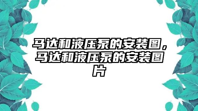 馬達和液壓泵的安裝圖，馬達和液壓泵的安裝圖片