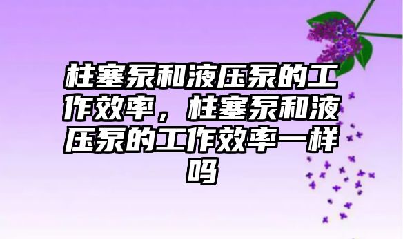 柱塞泵和液壓泵的工作效率，柱塞泵和液壓泵的工作效率一樣嗎