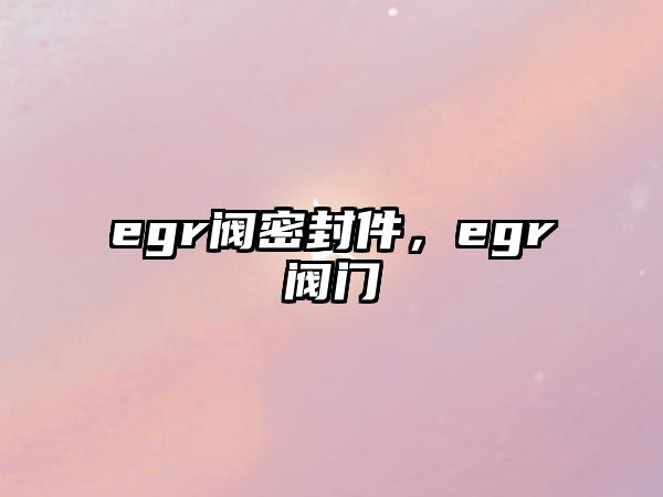 egr閥密封件，egr閥門