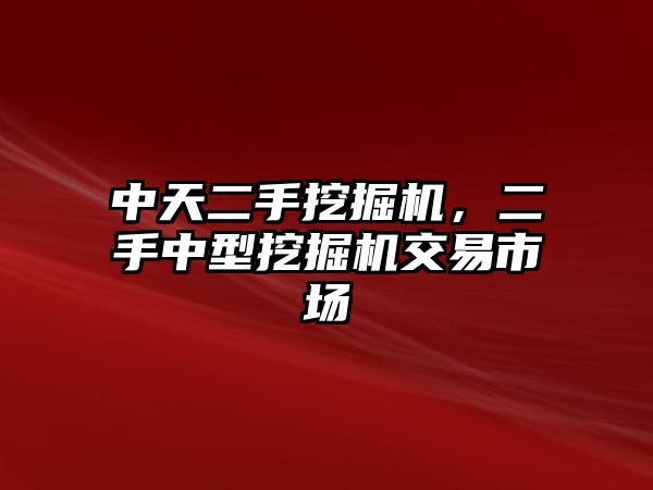 中天二手挖掘機，二手中型挖掘機交易市場