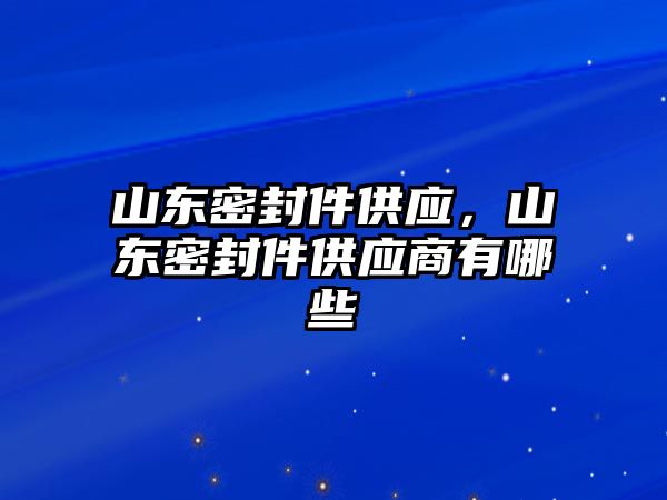 山東密封件供應，山東密封件供應商有哪些