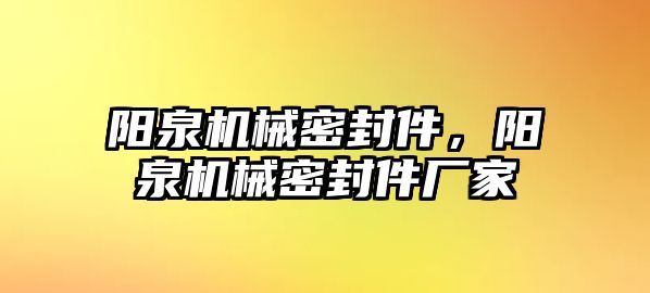 陽泉機械密封件，陽泉機械密封件廠家