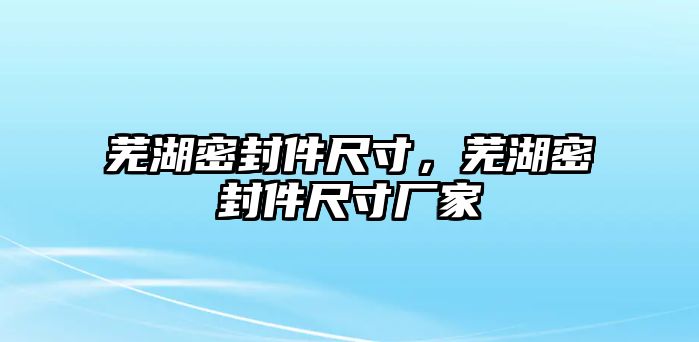 蕪湖密封件尺寸，蕪湖密封件尺寸廠家