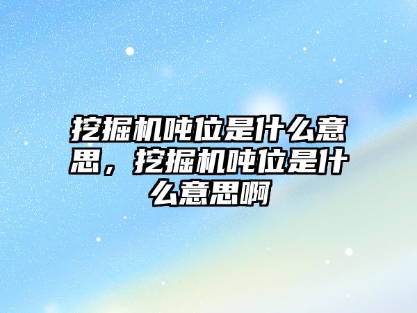 挖掘機噸位是什么意思，挖掘機噸位是什么意思啊