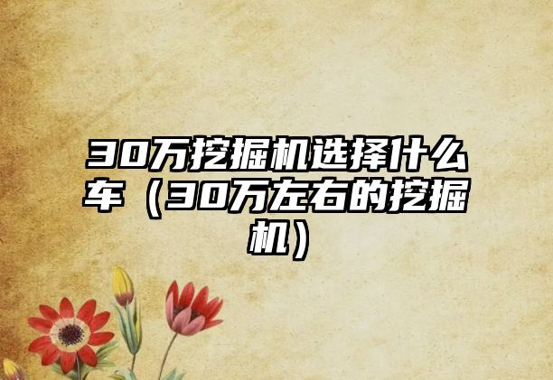 30萬挖掘機選擇什么車（30萬左右的挖掘機）