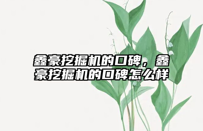 鑫豪挖掘機的口碑，鑫豪挖掘機的口碑怎么樣