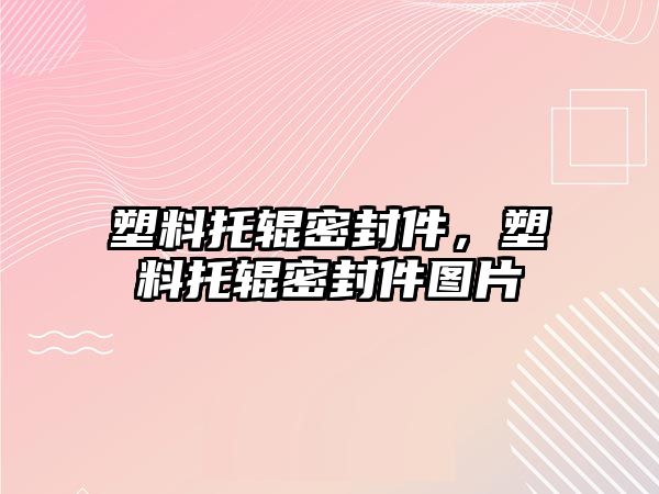 塑料托輥密封件，塑料托輥密封件圖片