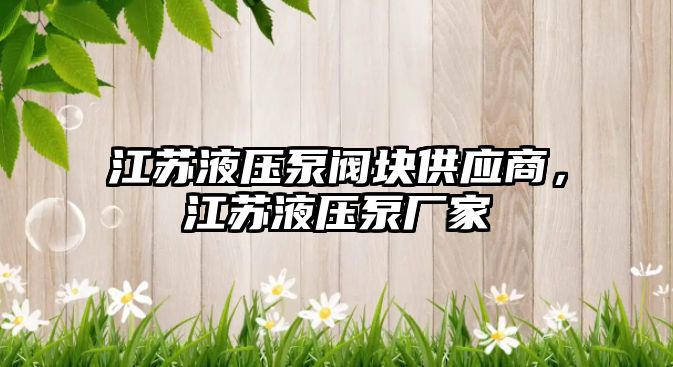 江蘇液壓泵閥塊供應(yīng)商，江蘇液壓泵廠家