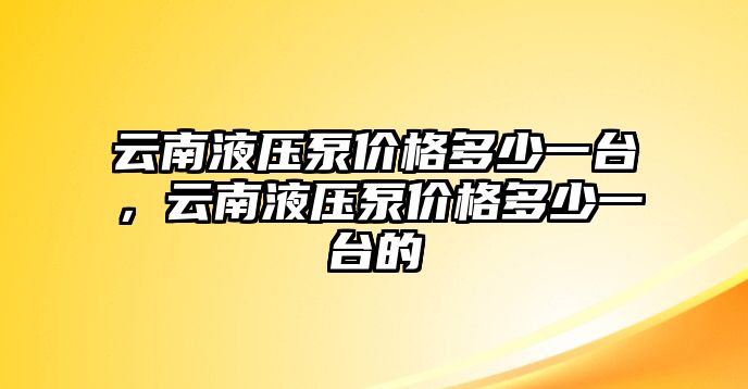 云南液壓泵價(jià)格多少一臺(tái)，云南液壓泵價(jià)格多少一臺(tái)的