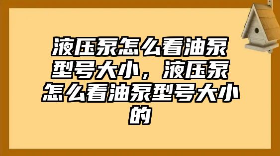 液壓泵怎么看油泵型號大小，液壓泵怎么看油泵型號大小的