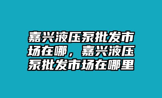 嘉興液壓泵批發(fā)市場(chǎng)在哪，嘉興液壓泵批發(fā)市場(chǎng)在哪里