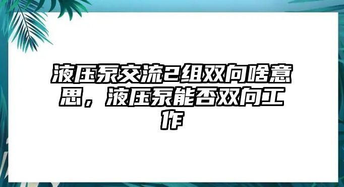 液壓泵交流2組雙向啥意思，液壓泵能否雙向工作