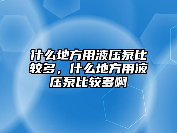 什么地方用液壓泵比較多，什么地方用液壓泵比較多啊