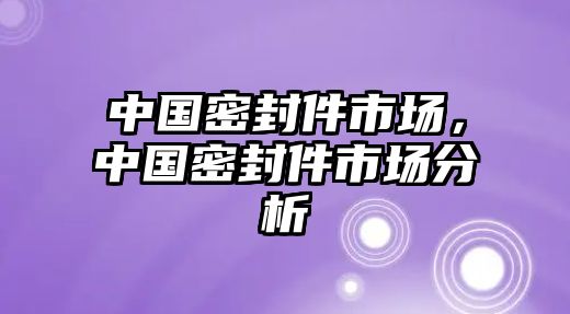 中國密封件市場，中國密封件市場分析