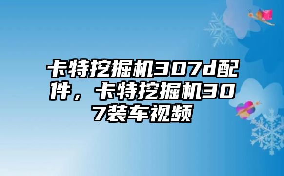 卡特挖掘機(jī)307d配件，卡特挖掘機(jī)307裝車視頻