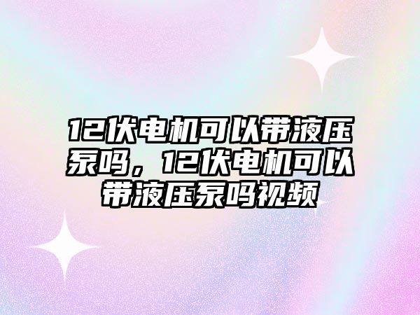 12伏電機(jī)可以帶液壓泵嗎，12伏電機(jī)可以帶液壓泵嗎視頻