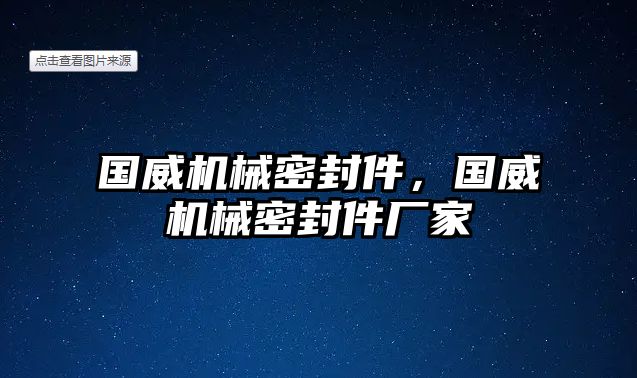 國(guó)威機(jī)械密封件，國(guó)威機(jī)械密封件廠家