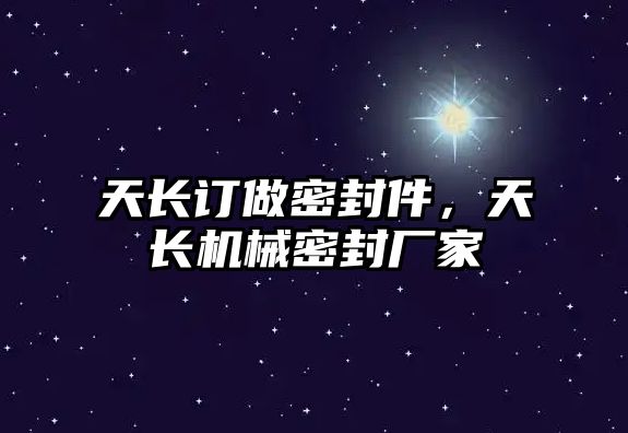 天長訂做密封件，天長機械密封廠家