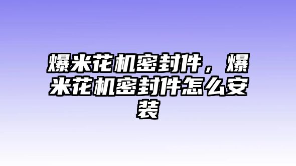 爆米花機密封件，爆米花機密封件怎么安裝