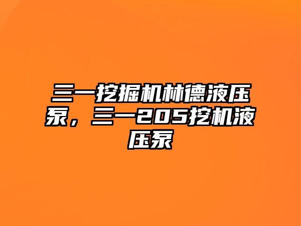 三一挖掘機(jī)林德液壓泵，三一205挖機(jī)液壓泵