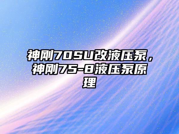 神剛70SU改液壓泵，神剛75-8液壓泵原理