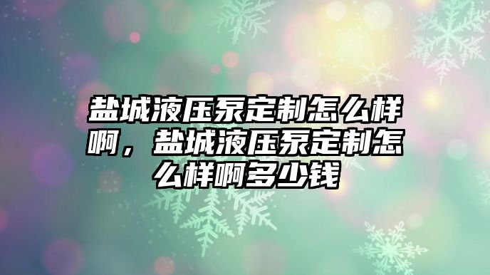 鹽城液壓泵定制怎么樣啊，鹽城液壓泵定制怎么樣啊多少錢