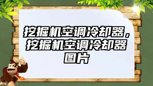 挖掘機(jī)空調(diào)冷卻器，挖掘機(jī)空調(diào)冷卻器圖片