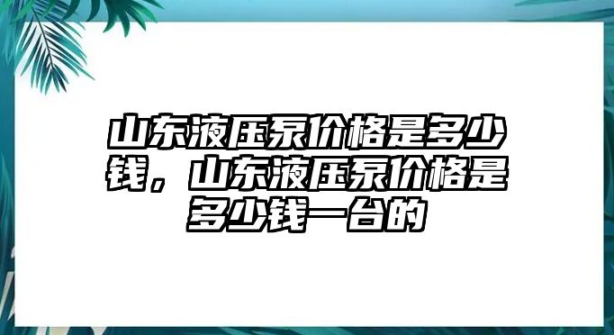 山東液壓泵價(jià)格是多少錢(qián)，山東液壓泵價(jià)格是多少錢(qián)一臺(tái)的