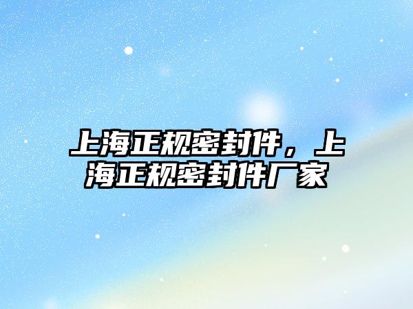 上海正規(guī)密封件，上海正規(guī)密封件廠家