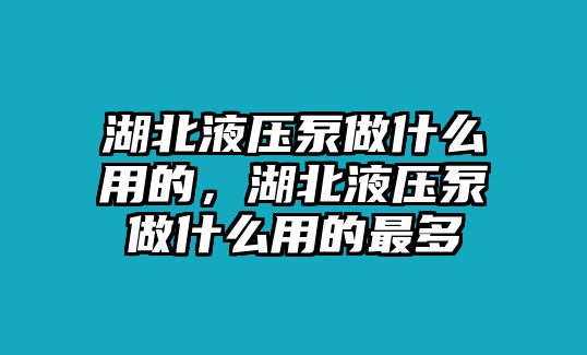 湖北液壓泵做什么用的，湖北液壓泵做什么用的最多