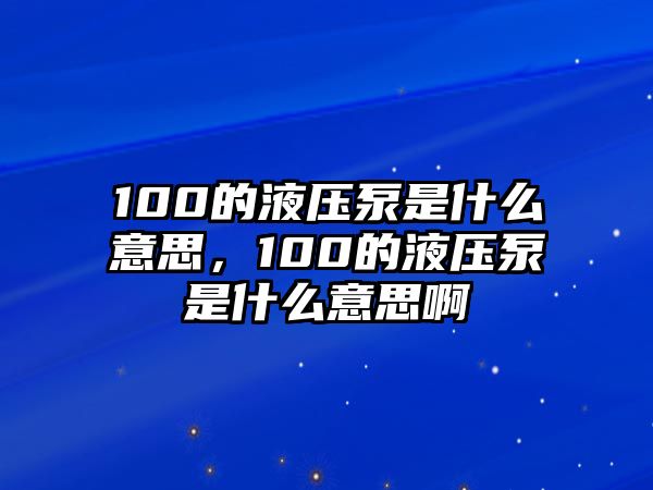 100的液壓泵是什么意思，100的液壓泵是什么意思啊