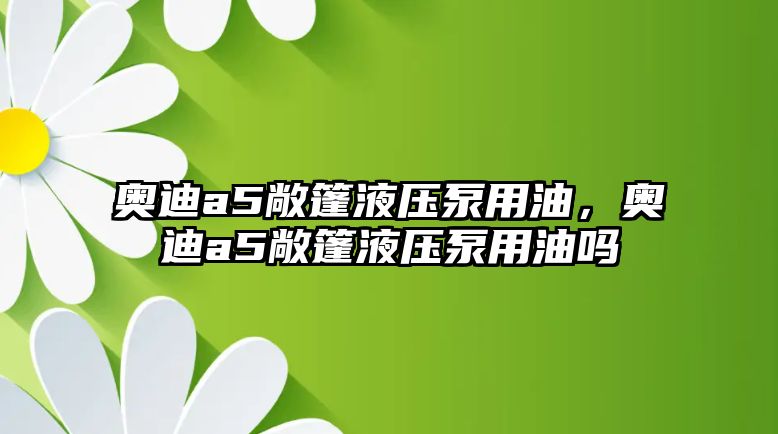 奧迪a5敞篷液壓泵用油，奧迪a5敞篷液壓泵用油嗎