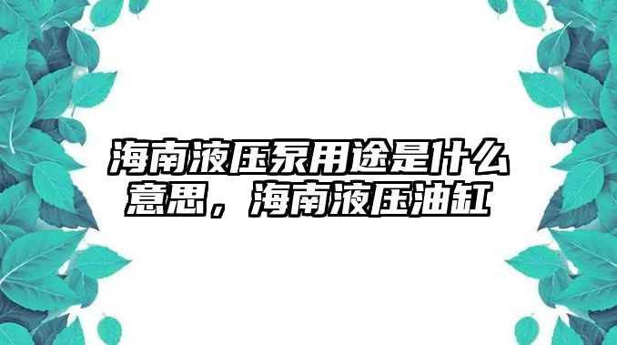 海南液壓泵用途是什么意思，海南液壓油缸