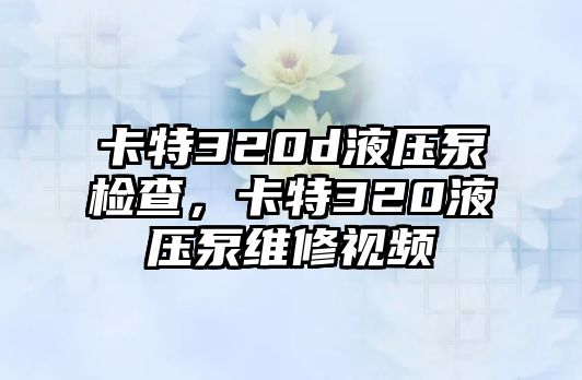 卡特320d液壓泵檢查，卡特320液壓泵維修視頻