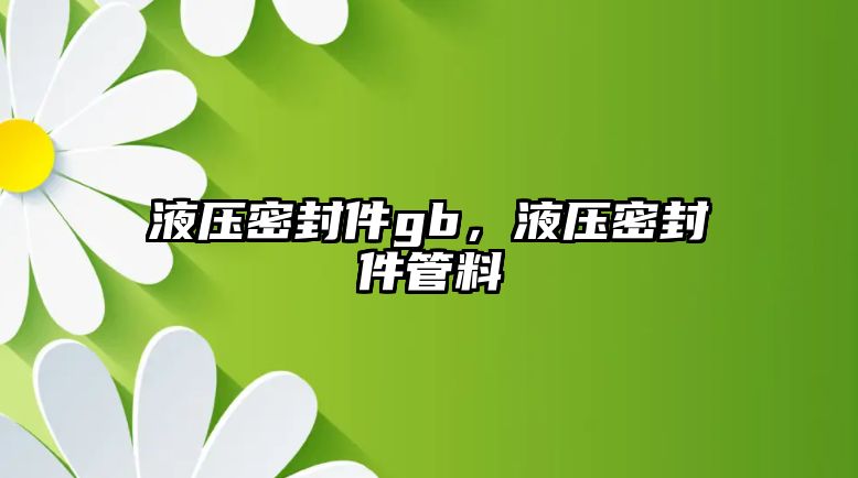 液壓密封件gb，液壓密封件管料