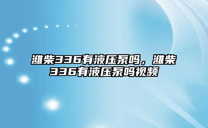 濰柴336有液壓泵嗎，濰柴336有液壓泵嗎視頻