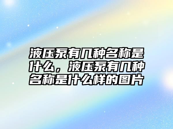 液壓泵有幾種名稱是什么，液壓泵有幾種名稱是什么樣的圖片