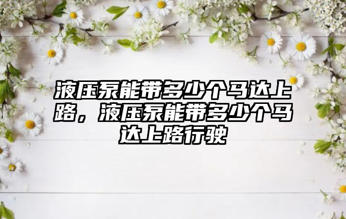 液壓泵能帶多少個馬達上路，液壓泵能帶多少個馬達上路行駛