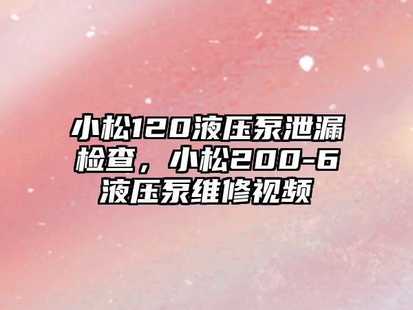 小松120液壓泵泄漏檢查，小松200-6液壓泵維修視頻