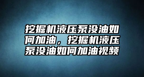 挖掘機液壓泵沒油如何加油，挖掘機液壓泵沒油如何加油視頻