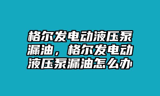 格爾發(fā)電動(dòng)液壓泵漏油，格爾發(fā)電動(dòng)液壓泵漏油怎么辦