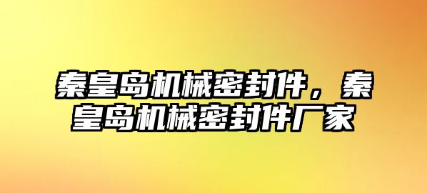 秦皇島機械密封件，秦皇島機械密封件廠家