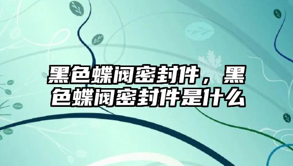 黑色蝶閥密封件，黑色蝶閥密封件是什么