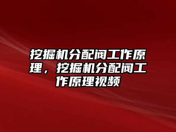 挖掘機(jī)分配閥工作原理，挖掘機(jī)分配閥工作原理視頻