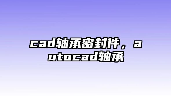 cad軸承密封件，autocad軸承