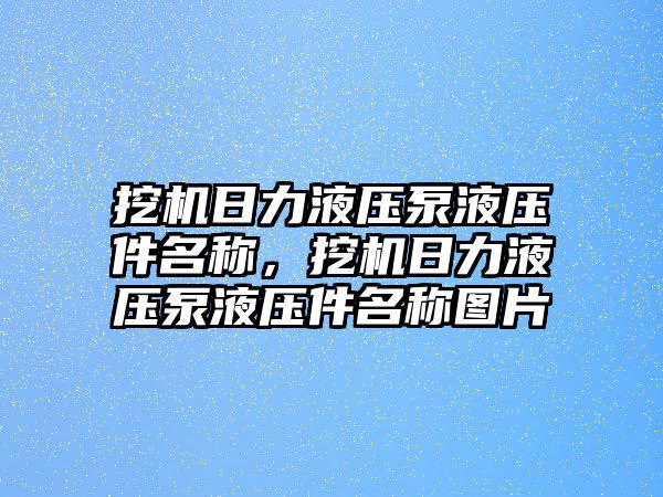 挖機(jī)日力液壓泵液壓件名稱，挖機(jī)日力液壓泵液壓件名稱圖片